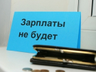 Почти целый год в Ростовской области 197 сотрудников компании работали за "спасибо" 