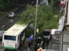 Огромное дерево обрушилось на дожидавшихся автобус людей у остановки в Ростове
