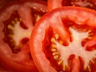 Соблюдать баланс: расскажем, как часто ростовчанам стоит поливать помидоры летом