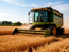 Ростовская область собрала более 7 миллионов тонн озимой пшеницы