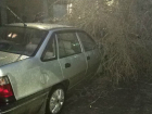 Обледенелое дерево рухнуло на припаркованные во дворе многоэтажки автомобили под Ростовом