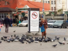 Несмотря на запрет, ростовчанка кормит голубей рядом с памятниками и храмом