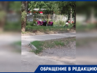 Жители Таганрога пожаловались на бомжей, «оккупировавших» Аллею славы