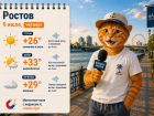 9 июля Ростов накроет зной до +33 градусов