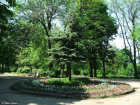 Распрощаться с четвертью гектара земли в парке Собино придется ростовской епархии