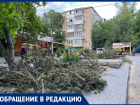 В Ростове жители пожаловались на неубранные ветки с начала весны