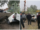 Двух человек убило упавшим деревом в Ростовской области
