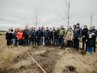ГК «ЮгСтройИнвест» присоединилась к осенней высадке деревьев в «Новом Ростове»