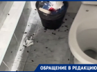В стоматологической поликлинике №4 Ростова пациента встретили не врачи, а тараканы