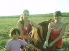Жители Дона подарили корову-кормилицу семье из хутора Каменный в Ростовской области