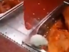Отобедавшая копченой курочкой белая мышь в супермаркете «Лента» умилила ростовчан на видео