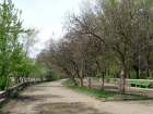 Реконструкцию парка «Дружба» в Ростове решили начать без инвестора