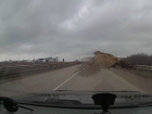 Пойманной на лобовое стекло автомобиля смелой дичью похвастал на видео житель Ростовской области