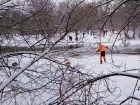Спасатели вытащили из полыньи тонущего пса в Ростове