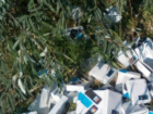 Гора распотрошенных коробок от сотовых телефонов на трассе под Ростовом бесследно исчезла