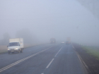 Сильный туман ожидается в Ростовской области ночью и утром 18 января
