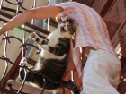 Ростовчанку шокировали повисшие на балконе мужчины с ее котом в руках на видео