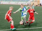 Юные ростовчане смогут бесплатно обучаться в спортшколах Ростова