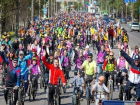 Новые велодорожки пообещали жителям Ростова в ближайшем будущем