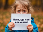 Без права на кредит и руль: кого из дончан и за что внесут в реестр злостных алиментщиков