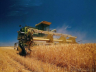 Василий Голубев: аграрии Ростовской области собрали рекордный урожай зерна