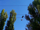 "Летающие" ботинки на проводах у школы Ростова вызвали неприятные ассоциации у горожан