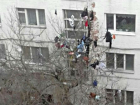«Модный приговор» изменнику на дереве под окнами высотного дома рассмешил жителей Ростова