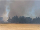 На Дону наконец локализовали пожар в лесу на площади 433 гектара 