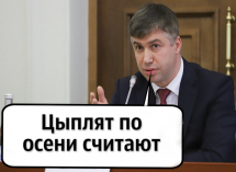 «Цыплят по осени считают»: говорил ли так сити-менеджер Ростова Алексей Логвиненко 