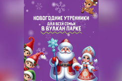 УСЛУГА ДНЯ: Новогодний утренник для всей семьи в Вулкан Парке
