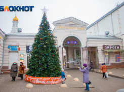 Почем новогоднее настроение: сколько потратят на елку жители Ростова и соседних регионов