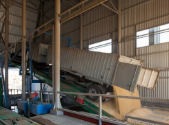 Из-за возможного дефицита Россия может ограничить вывоз зерна из страны