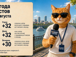 В Ростове 18 августа жара до +32 градусов