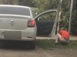 Окучивающего газон в поисках «закладки» «приличного» автомобилиста сняли на видео в Ростове