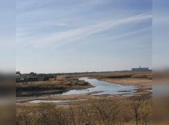 Местные жители заявили об экологической катастрофе на реке Маныч