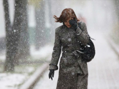 Снег и порывистый ветер ожидают жителей Ростова в начале первой рабочей недели 