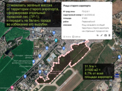 Администрацию обязали рассмотреть вопрос сохранения рощи на месте старого аэропорта Ростова