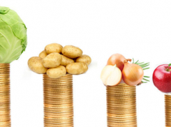 Из-за системы «Платон» продукты в Ростовской области вырастут в цене
