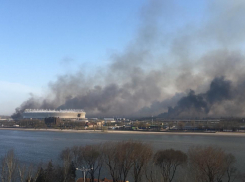 Спасатели потушили крупный пожар на левом берегу Дона