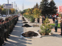 Аллея славы «Живая память» открыта в Ростове