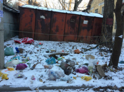 Власти Ростова обвинили горожан в «безответственности» и создании «свалочных очагов»