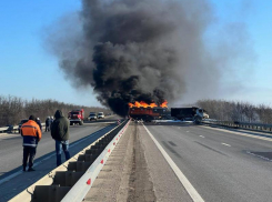 Водитель бензовоза сгорел заживо после ДТП с грузовиком в Ростовской области