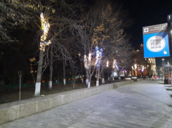 Власти Ростова сэкономят на украшении города к Новому году