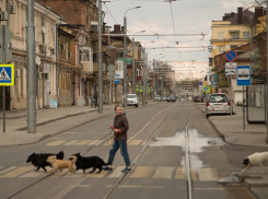 Ростов ждет очередной теплый весенний день