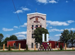 Завод «Цимлянских вин» возобновит работу в сентябре