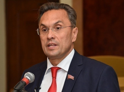 Уголовное преследование в отношении скандального ростовского экс-депутата Владимира Бессонова потребовали прекратить в Госдуме 