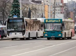 В Ростове на Центральном автовокзале сгорели два автобуса