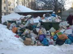 Ростов-на-Дону утопает в свалках мусора