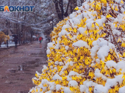 Потепление до +5 и ночной дождь ожидаются в Ростове 20 февраля