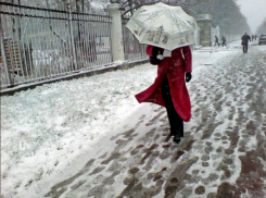 Обрушившийся на город снегопад вызовет «неприятные иллюзии» у теплолюбивых жителей Ростова